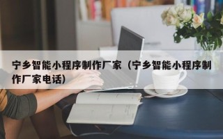 白银宁乡智能小程序制作厂家（宁乡智能小程序制作厂家电话）